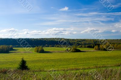 Beautiful summer landscape. The nature.