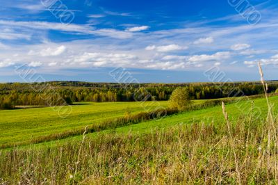 Beautiful summer landscape. The nature.