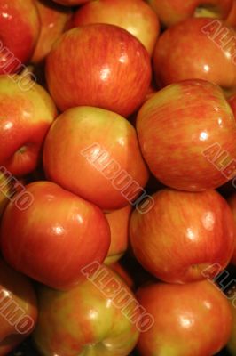 Fresh Red Apples