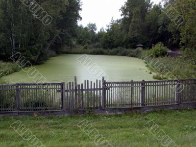 abandoned pond