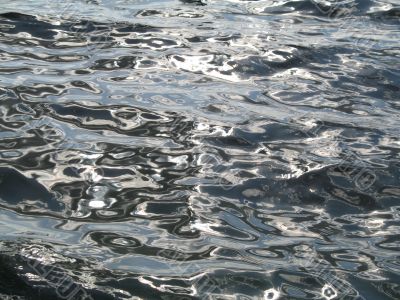 surface of water
