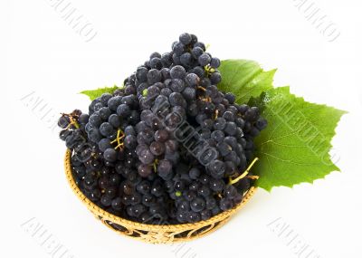 Grape in basket Grape in basket