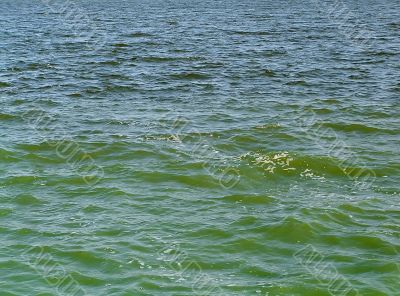 Dirty water Dirty water