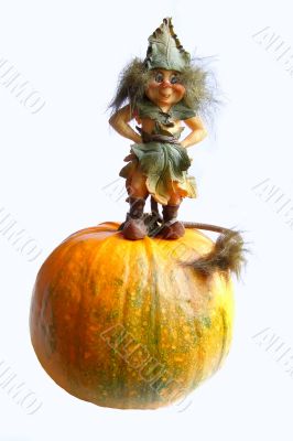 Hallowe`en gnome