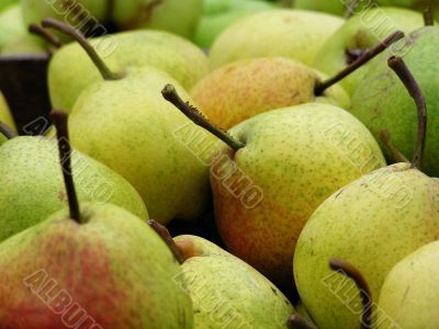 Pears