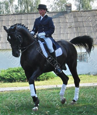 equestrian saddlewoman on black stallion