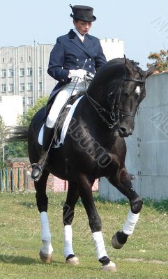 equestrian saddlewoman on black stallion