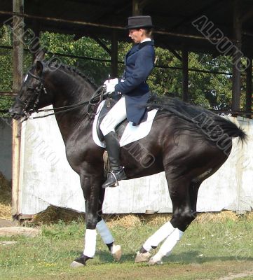 equestrian saddlewoman on black stallion