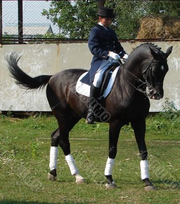 equestrian saddlewoman on black stallion