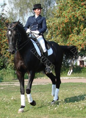 equestrian saddlewoman on black stallion