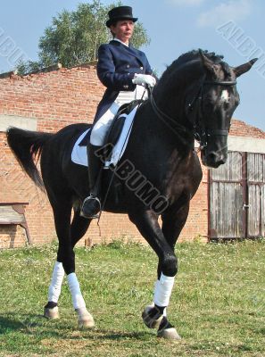 equestrian saddlewoman on black stallion