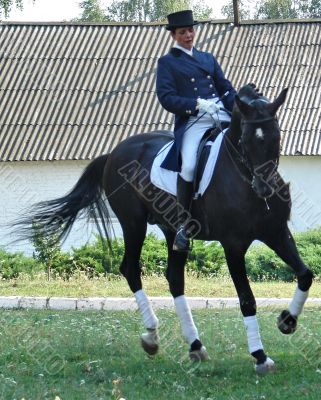 equestrian saddlewoman on black stallion