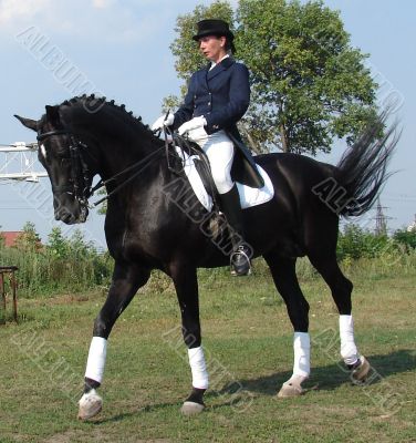 equestrian saddlewoman on black stallion