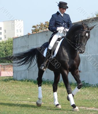 equestrian saddlewoman on black stallion