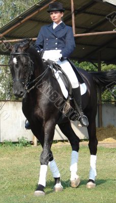 equestrian saddlewoman on black stallion