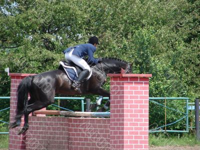 equestrian saddlewoman on black stallion