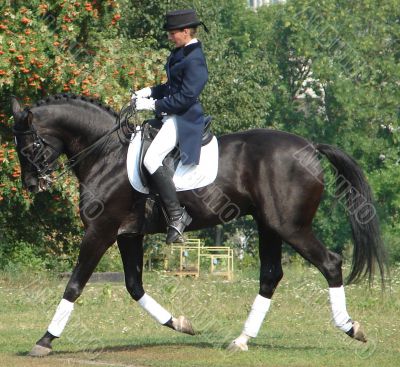 equestrian saddlewoman on black stallion