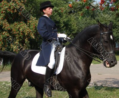 equestrian saddlewoman on black stallion