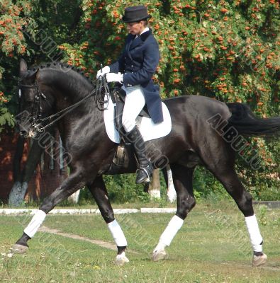 equestrian saddlewoman on black stallion