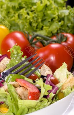 Salad