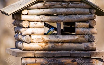 Small house for birds