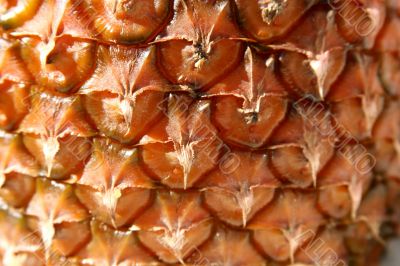 Pineapple close-up