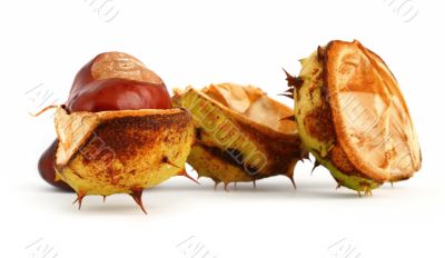 chestnuts on white