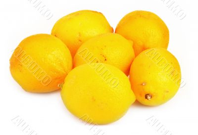 group of lemons