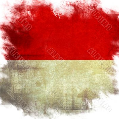 flag of national