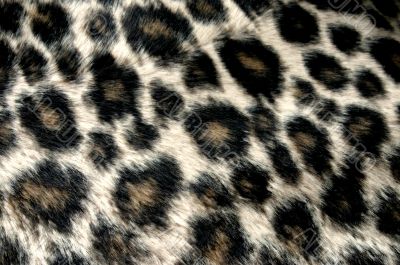 panther pattern