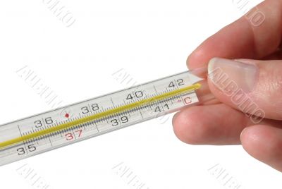 thermometer - isolated