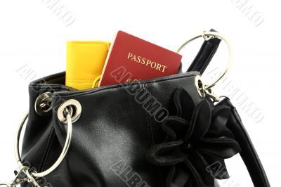 passport in a bag passport in a bag
