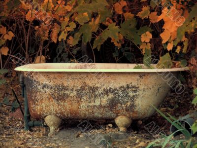 An Old Fall Tub