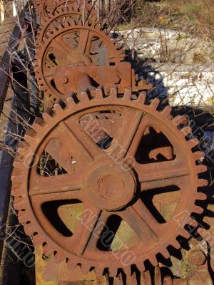 cog wheel