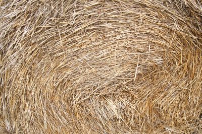 Package of the straw