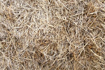 Package of the straw