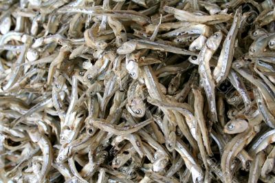 Dried fish