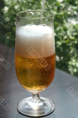 Glass of beer