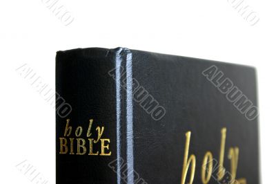 holy bible details