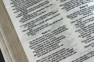 holy bible