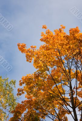 Upon the beginning dawn