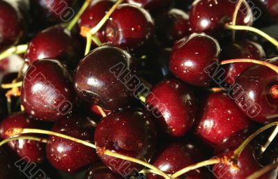 WET CHERRIES