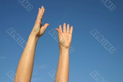 trying to reach the sky