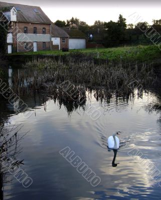 mill pond scene