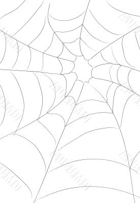 Halloween Spider Web Illustration