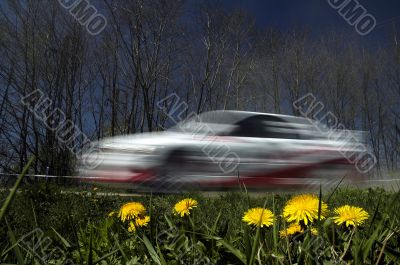 rally in nature