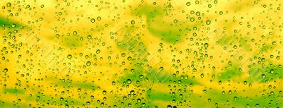 water drops background
