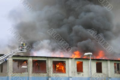 firefighters
