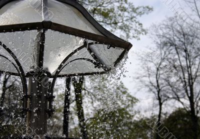 fountain drops in motion