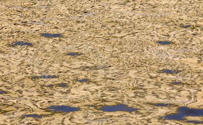 Golden water background